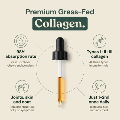 Liquid Collagen For Cats