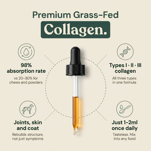 Liquid Collagen For Cats