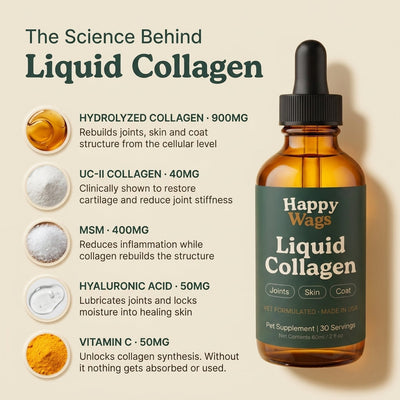 Liquid Collagen For Cats