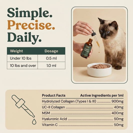 Liquid Collagen For Cats