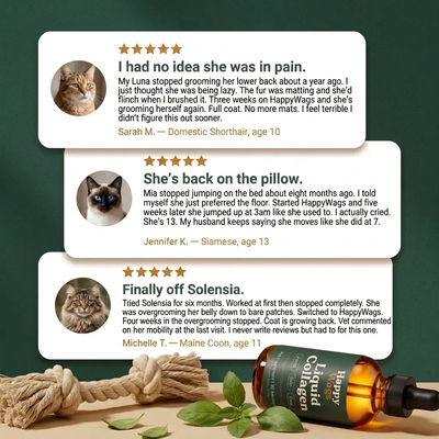 Liquid Collagen For Cats